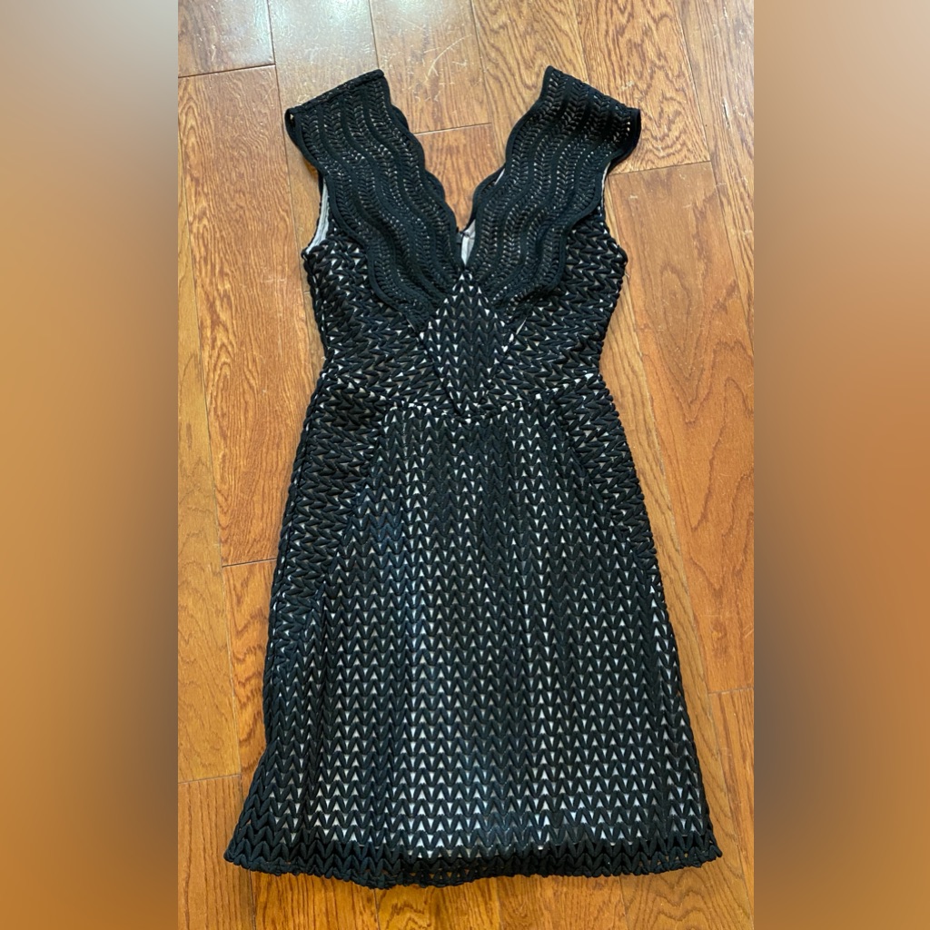 Reiss Marianna Lace Fit And Flare Dress Nwt